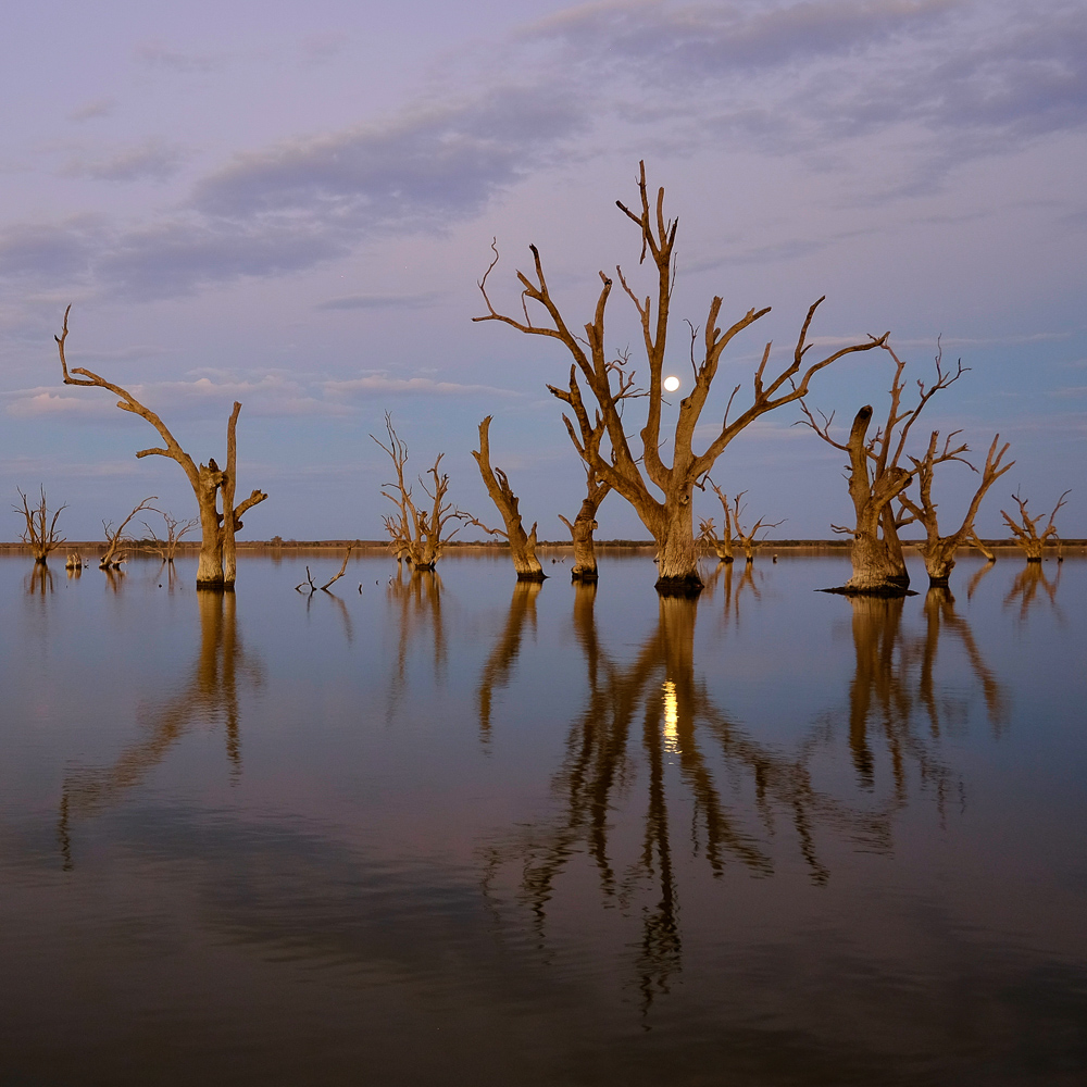 Platz 8 Peter Marion